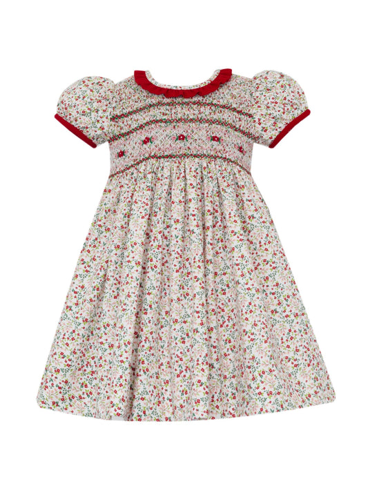 Lily Red & Pink Holiday Liberty Collared Print Dress