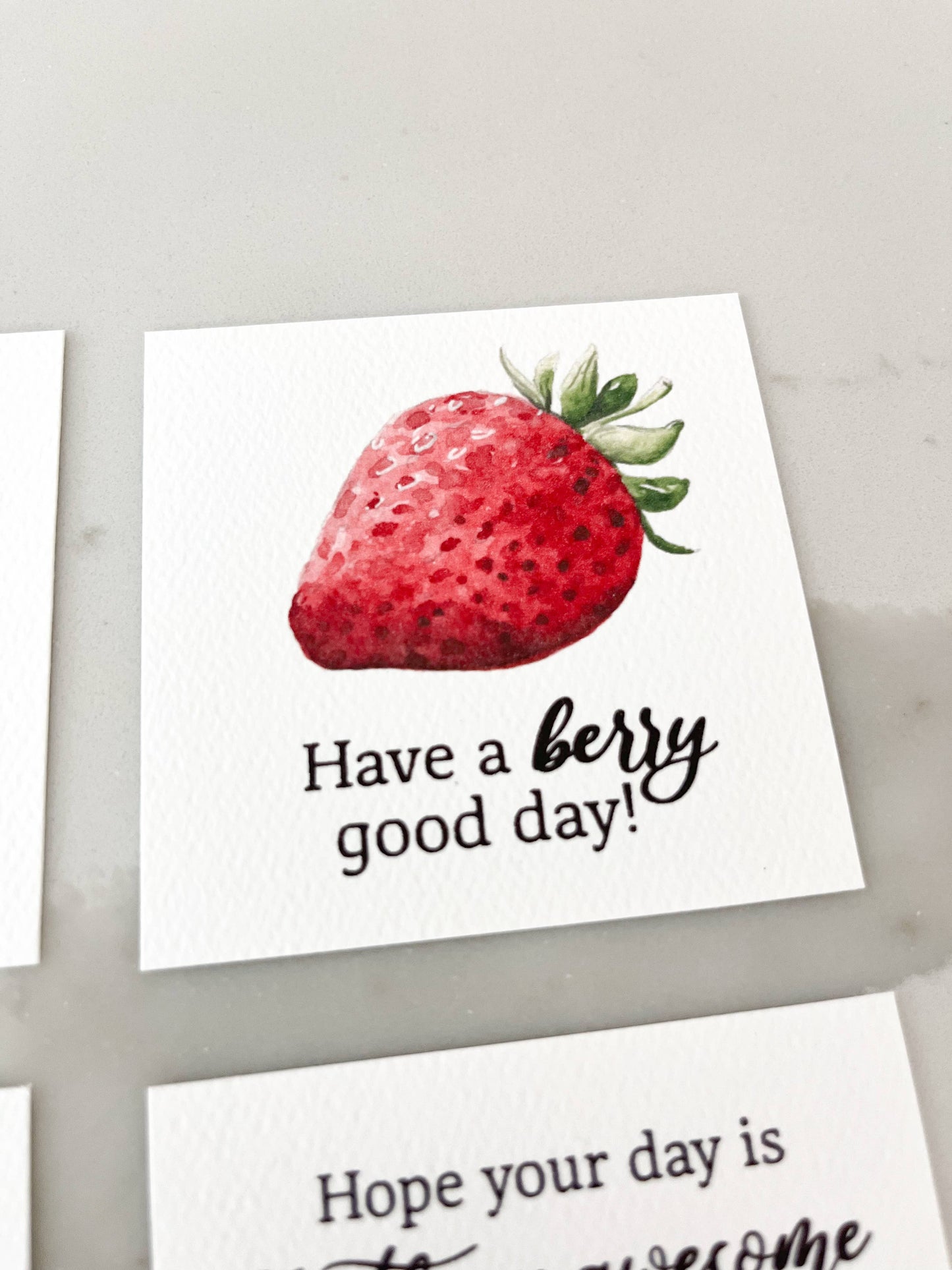 Lunch Box Note Cards