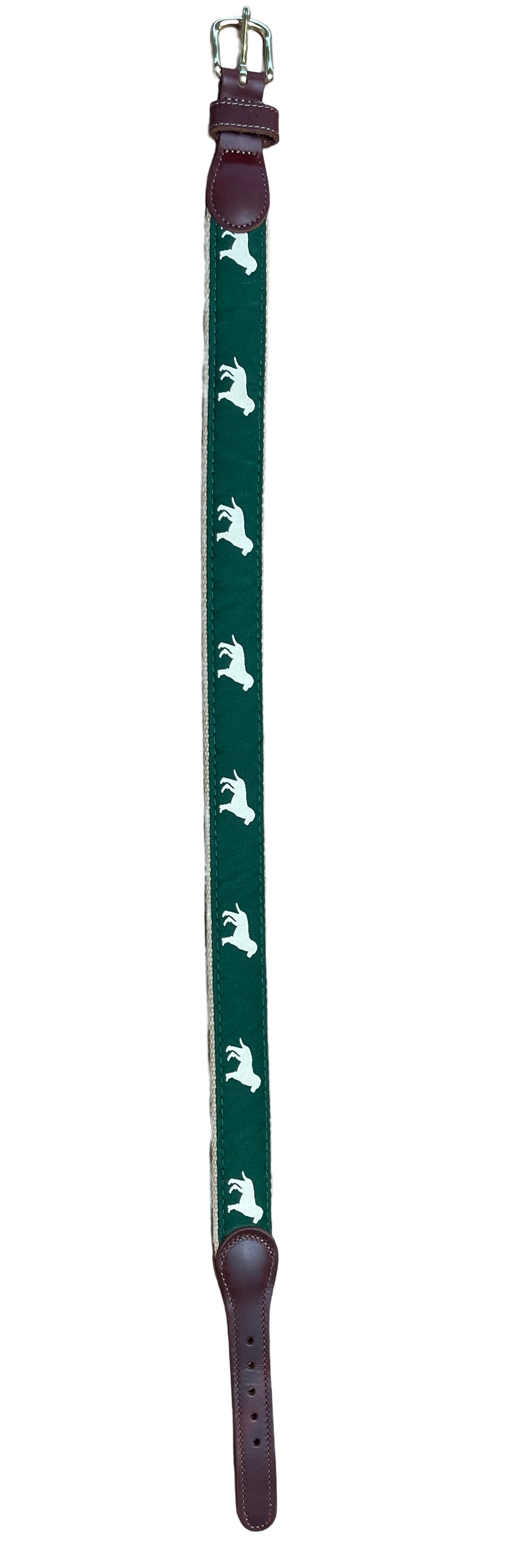 First Belt, Yellow Dog on Green