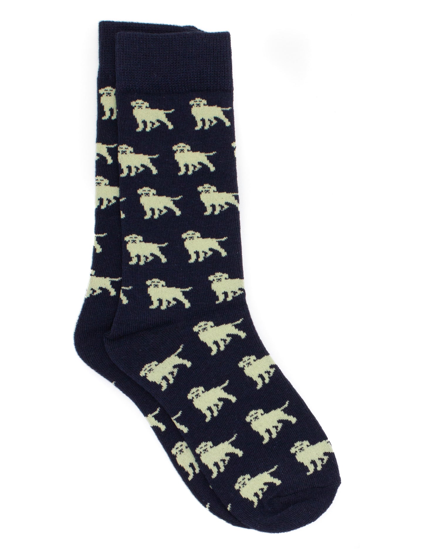 Boy's Lucky Duck Socks Golden Retriever
