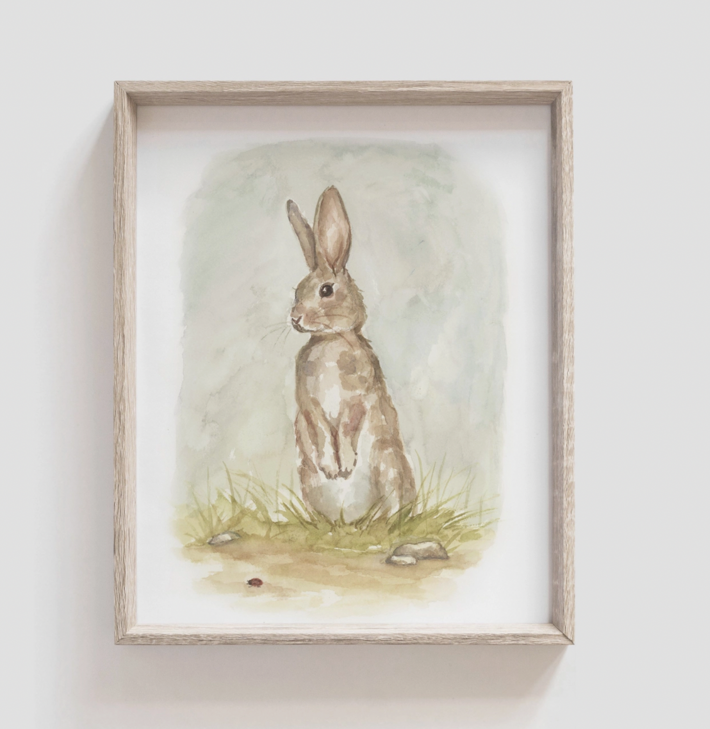 Art Print, Rabbit 11 x 16