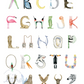 Animal Alphabet Print, 16" x 20" -  Framed in White