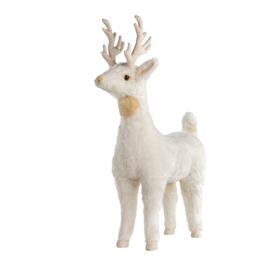 White Reindeer