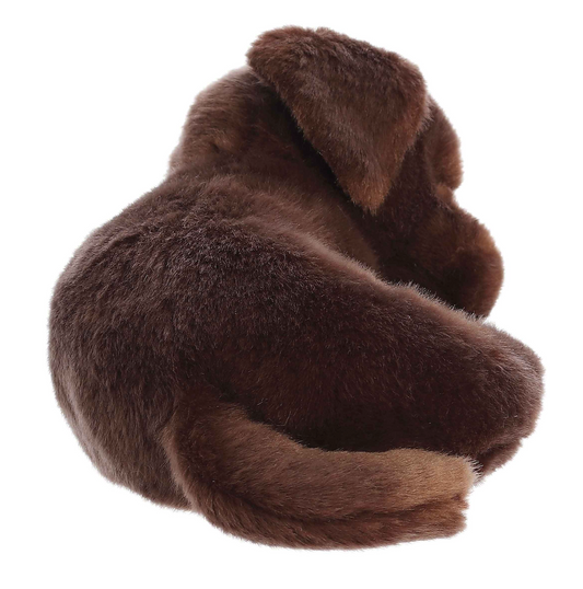 Sleepy Chocolate Lab Pup