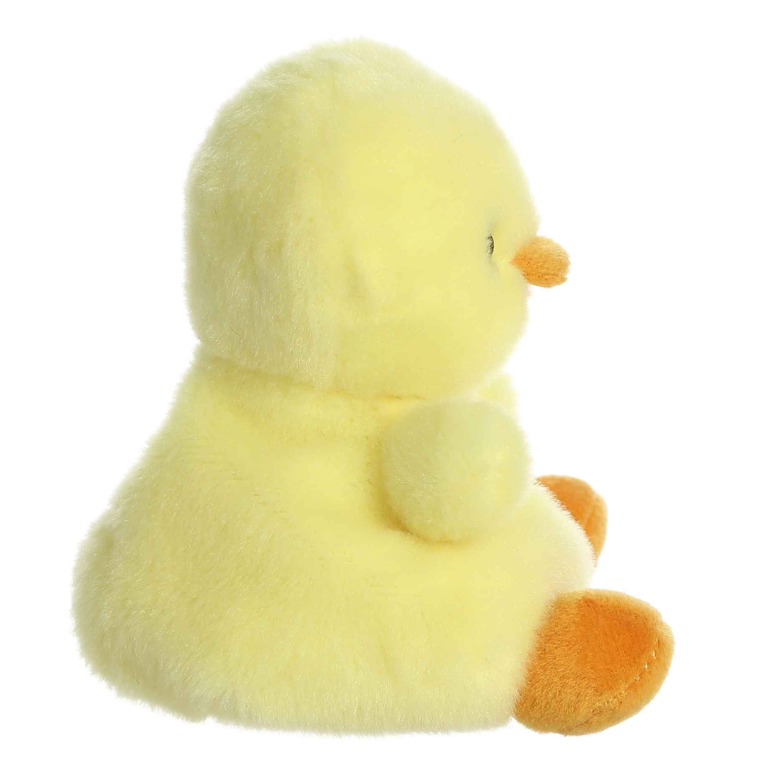 Palm Pal, Betsy Chick