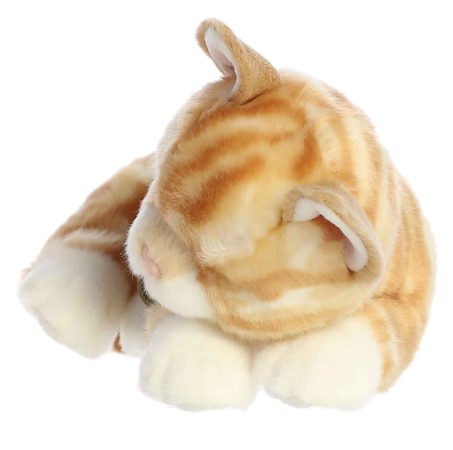 Sleepy Orange Tabby Kitten