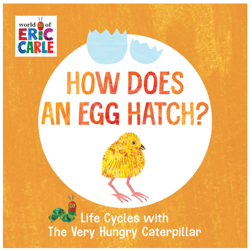 How Does an Egg Hatch?