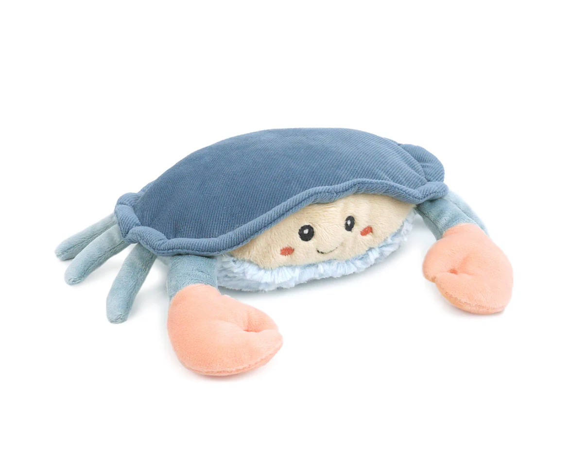 Shy Blue Crab