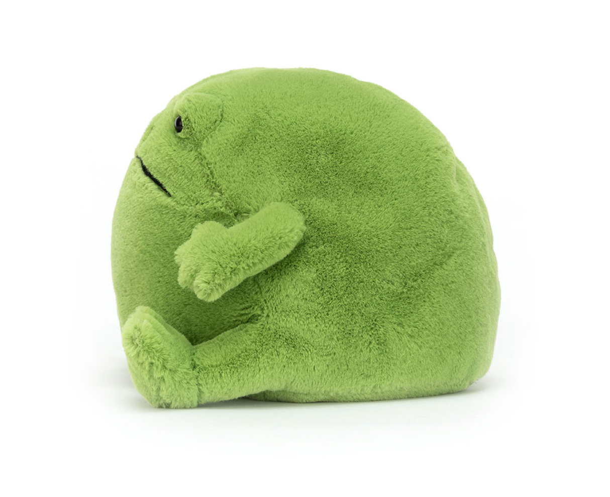 Ricky Rain Frog