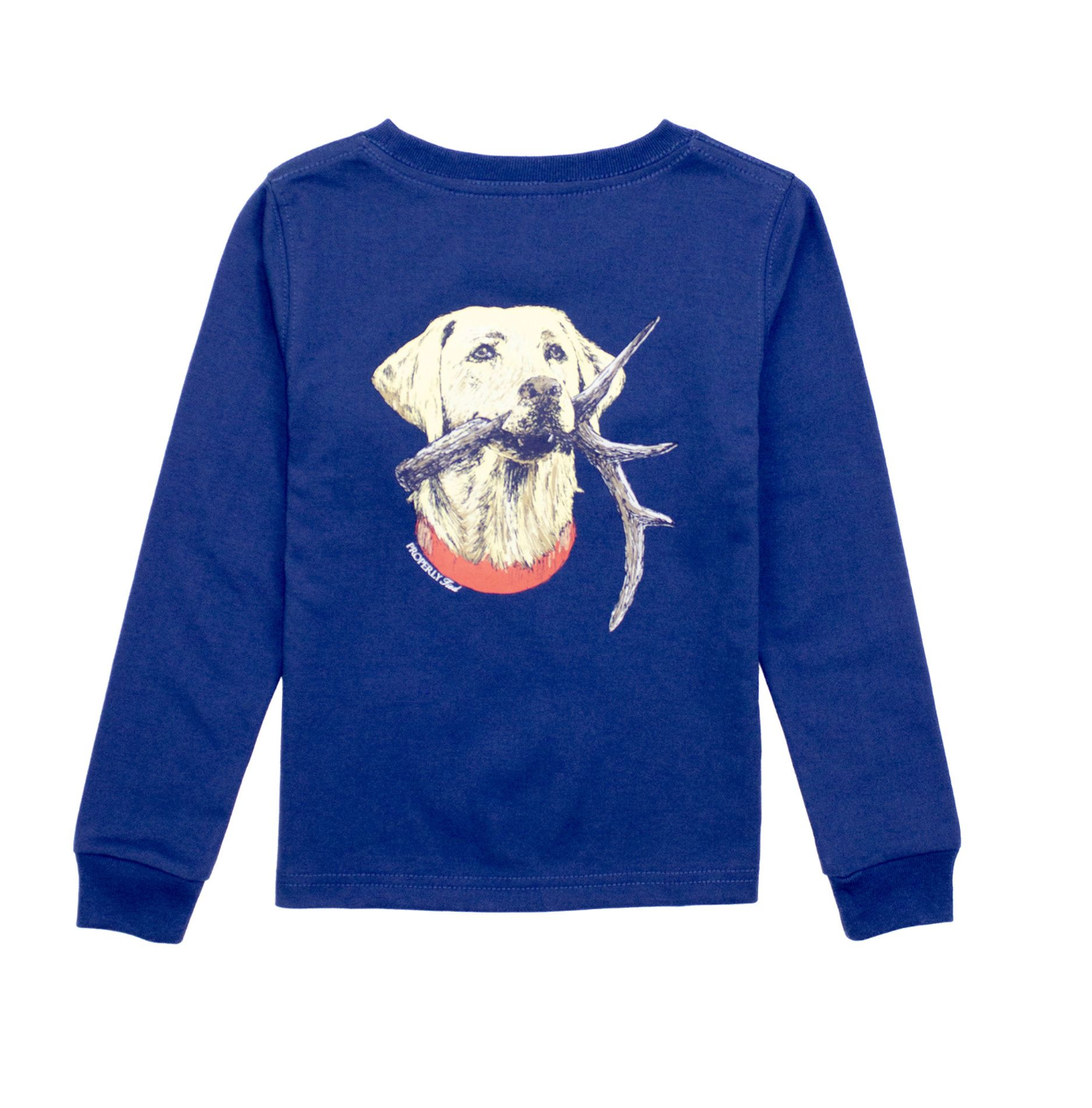 Boys Antler Lab T-Shirt River Blue