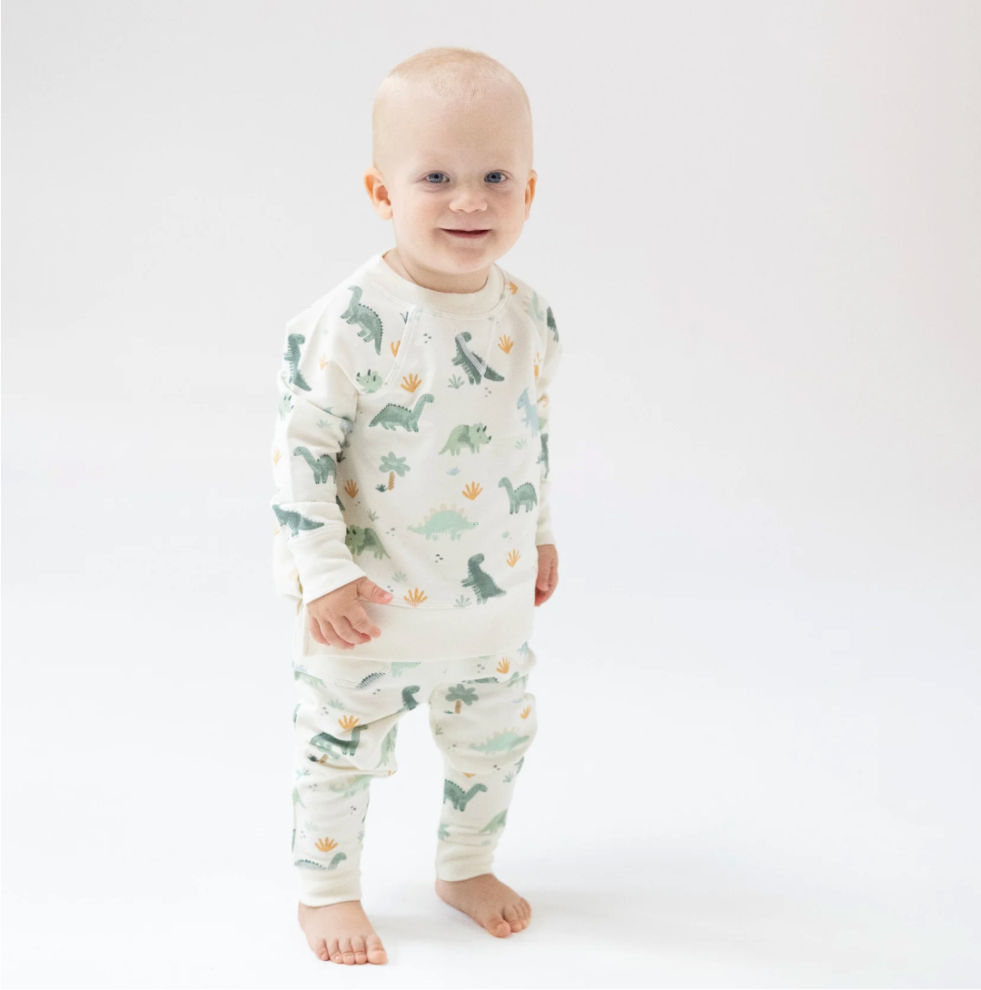 Green Raglan Sweatshirt and Jogger Set, Soft Dinos