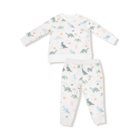 Green Raglan Sweatshirt and Jogger Set, Soft Dinos