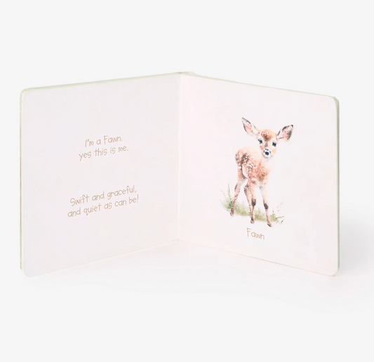 Little Wonders Forest Board Book