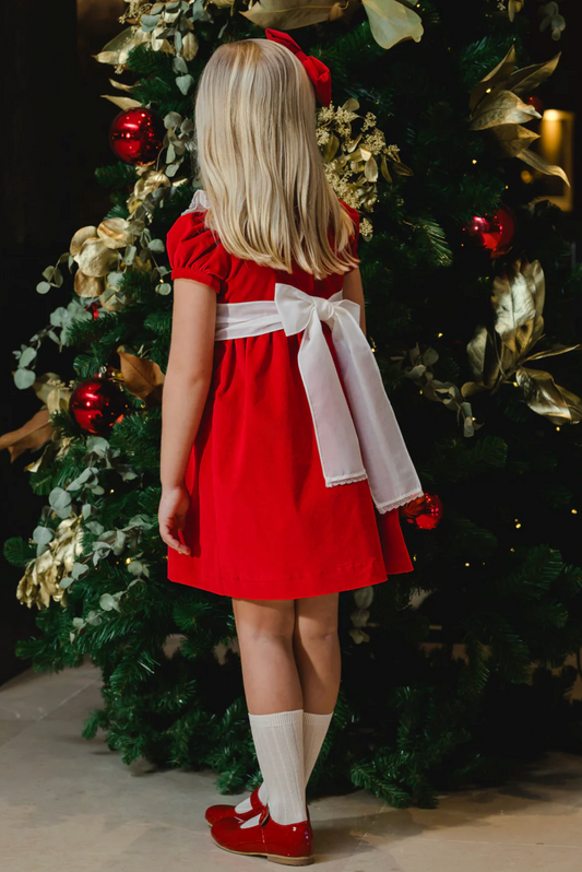 Red Velvet Dress
