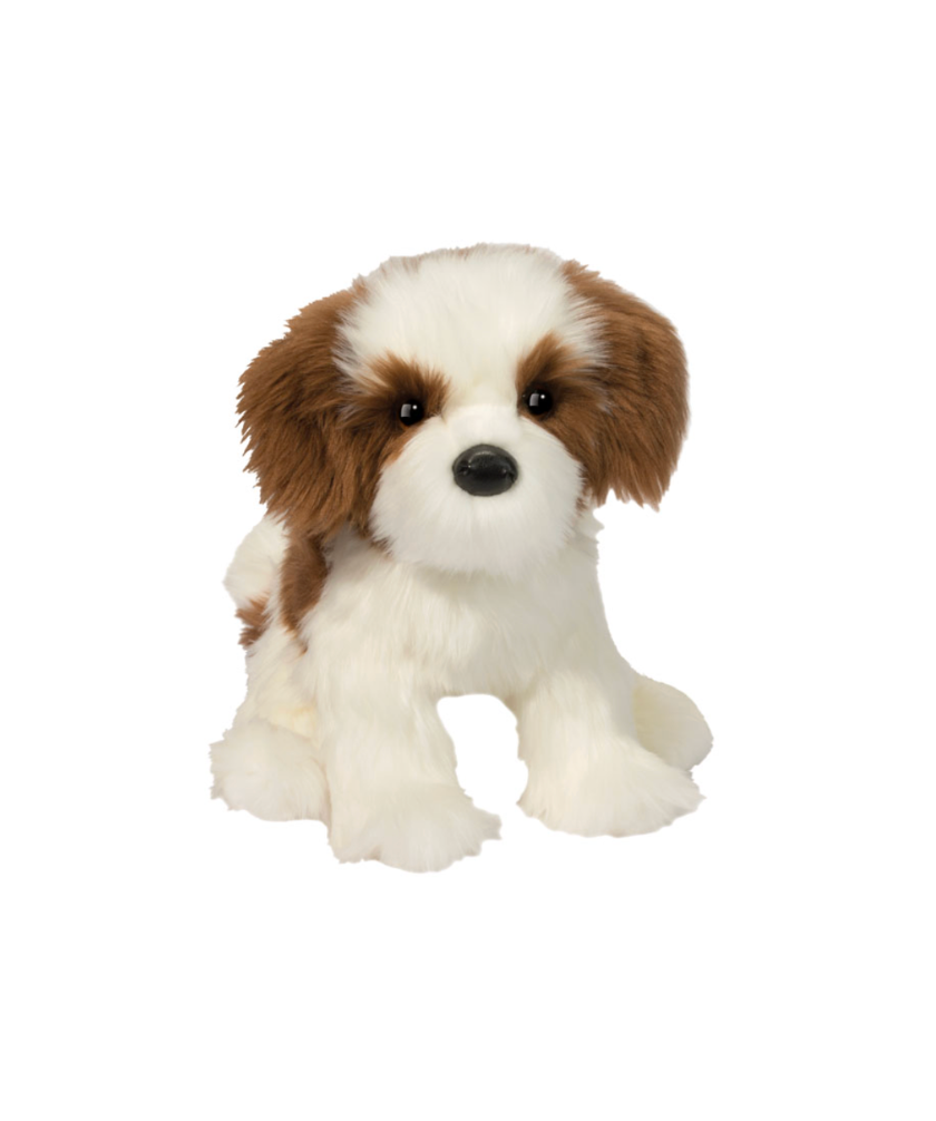 Farren Shih Tzu