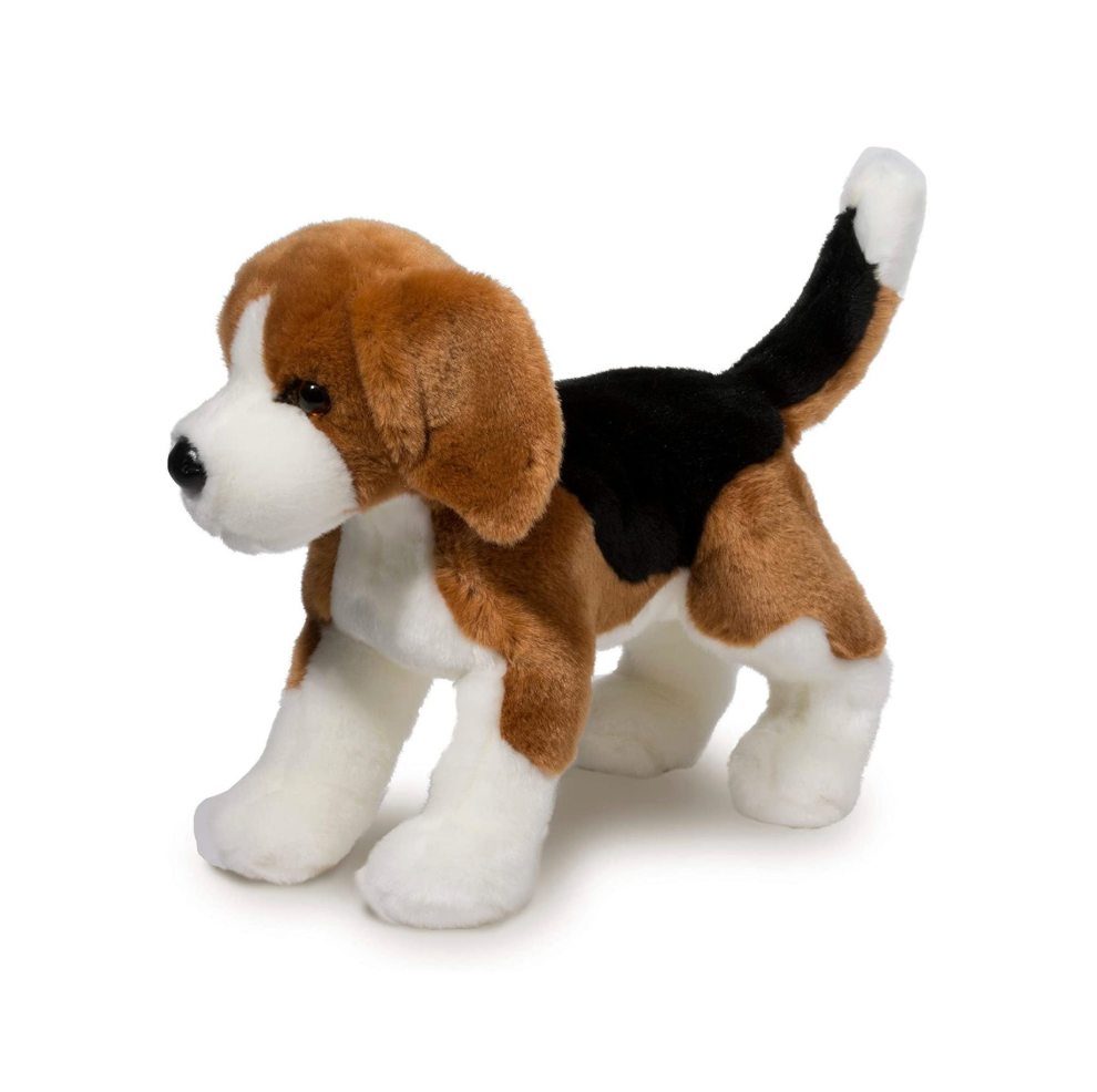 Bernie Beagle