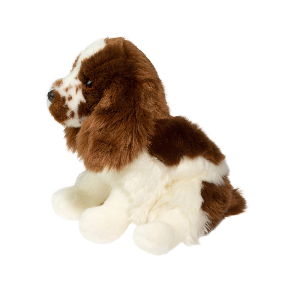 Chip Springer Spaniel