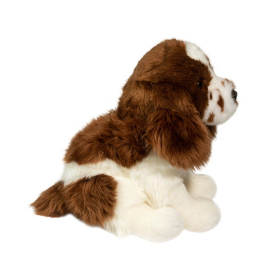 Chip Springer Spaniel
