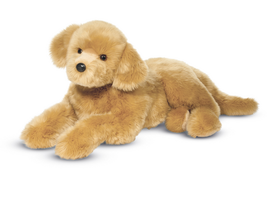 Sherman Golden Retriever, Medium