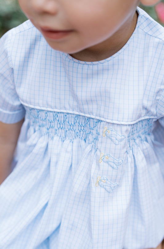 Hayes Bubble, Airplane