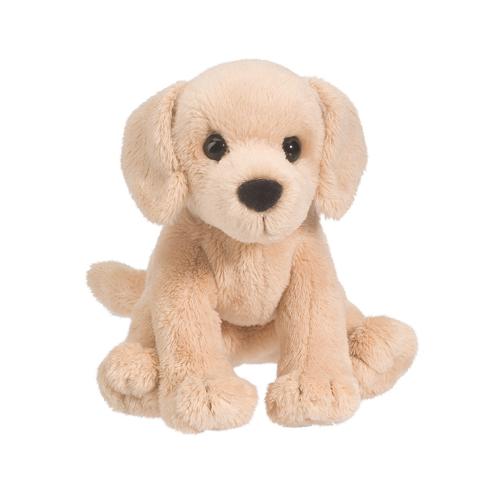 Butter the Yellow Lab