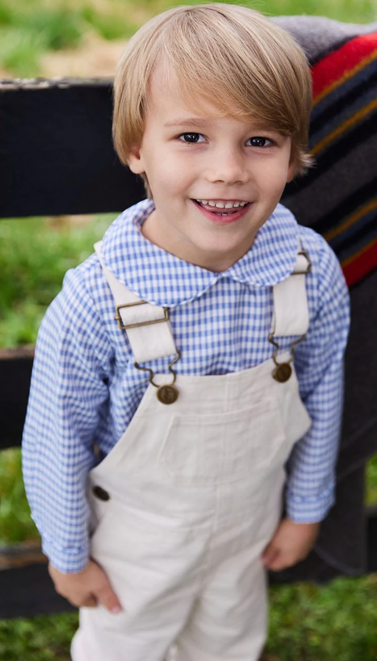Gray Blue Gingham Long Sleeve Peter Pan Shirt