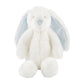 Blue Small Plush Bunny