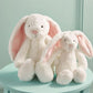 Pink Large Plush Bunny