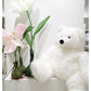 Teddie B