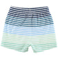 Coastal Stripe Swim Trunks