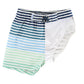 Coastal Stripe Swim Trunks