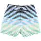 Coastal Stripe Swim Trunks