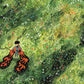 Butterfly Child