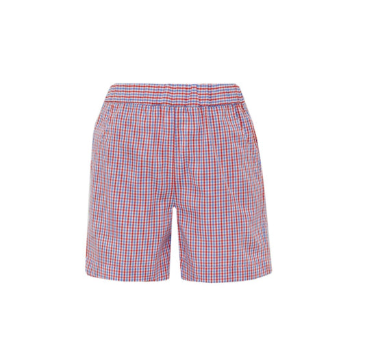 Boy's Red and Blue Gingham Shorts