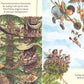 Treehouse Town