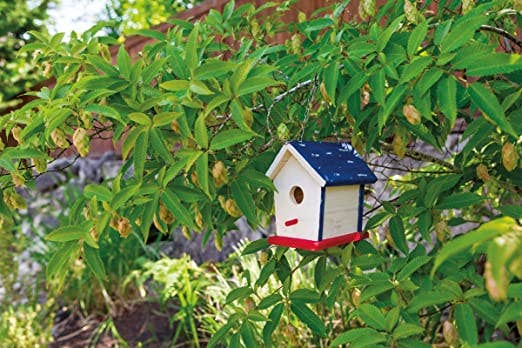 Beetle & Bee Paint A Bird Base, Backyard Birdhouse Kit