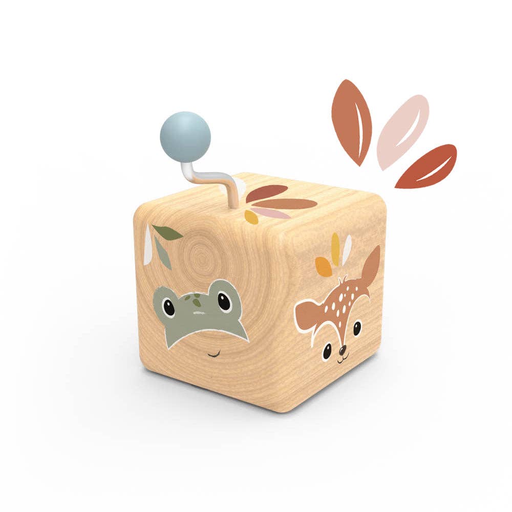 Music Boxes (assorted)