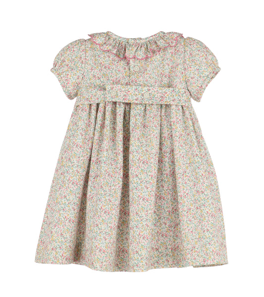 Enchanting Harvest Smocked Dress