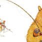 Bear & Hare Go Fishing
