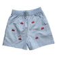 Boy Seersucker Chambray Stripe Shorts, Embroidered Red Cars