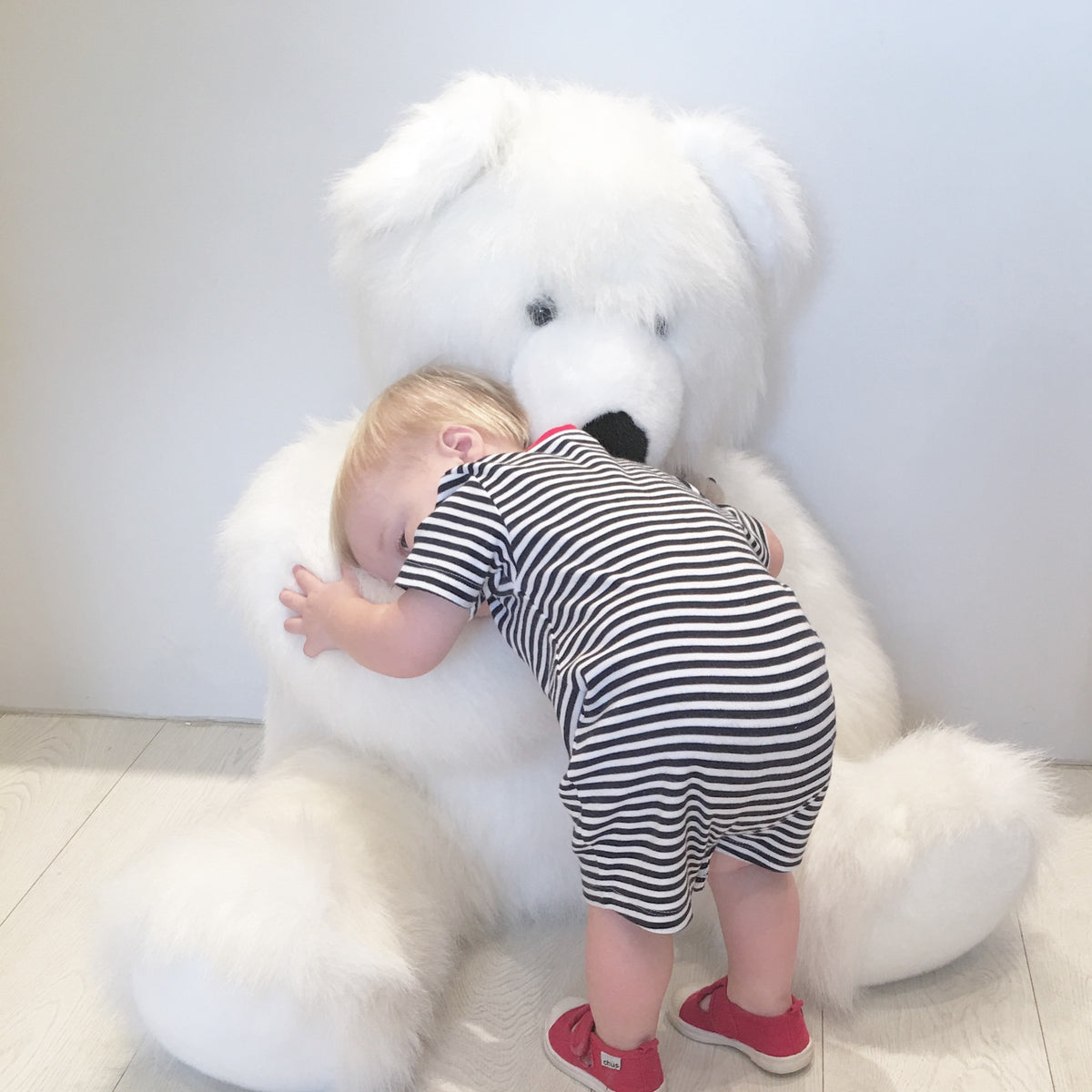 Teddie B