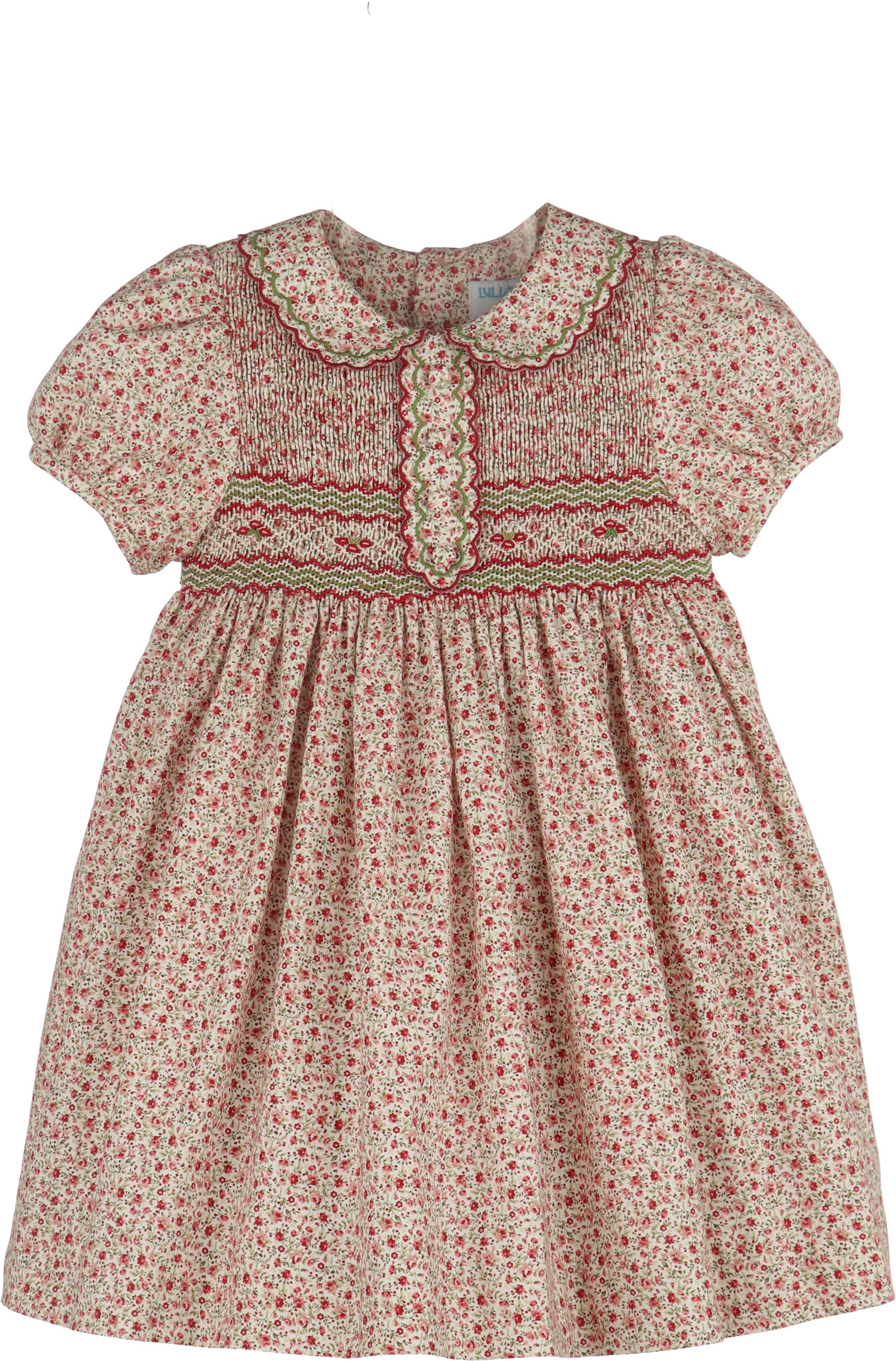 Floral dress with a patterned collar on a white background