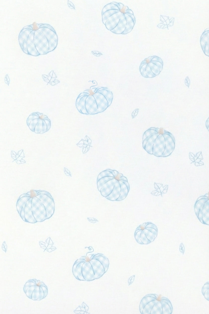 Blue Pumpkin Patch Zipper Footie