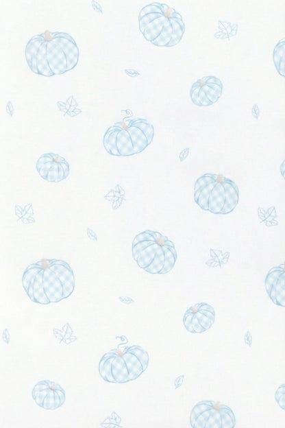 Blue Pumpkin Patch Zipper Footie
