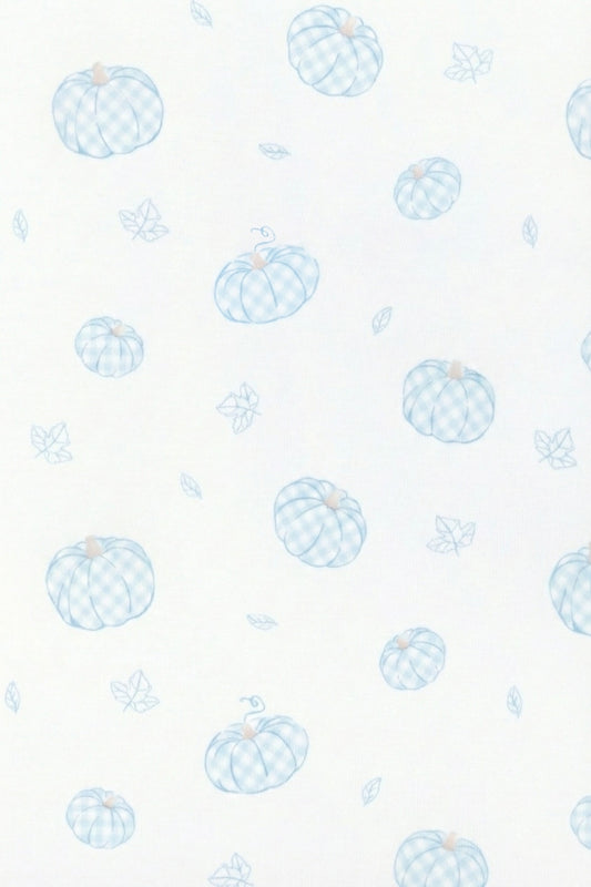 Blue Pumpkin Patch Zipper Footie
