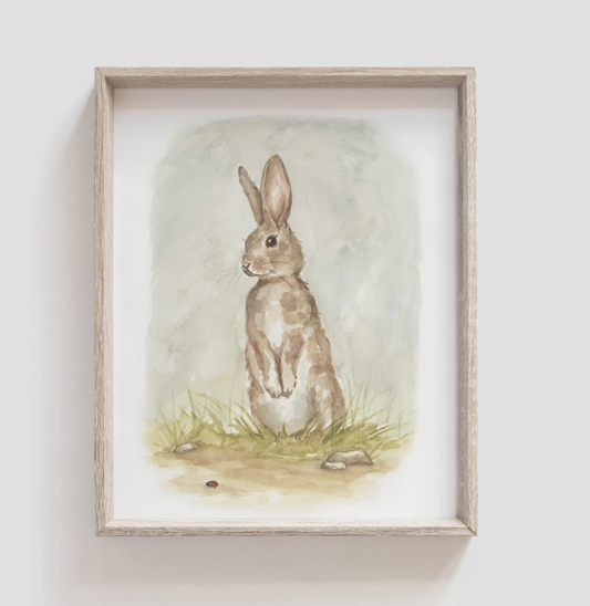 Art Print, Rabbit 11 x 16