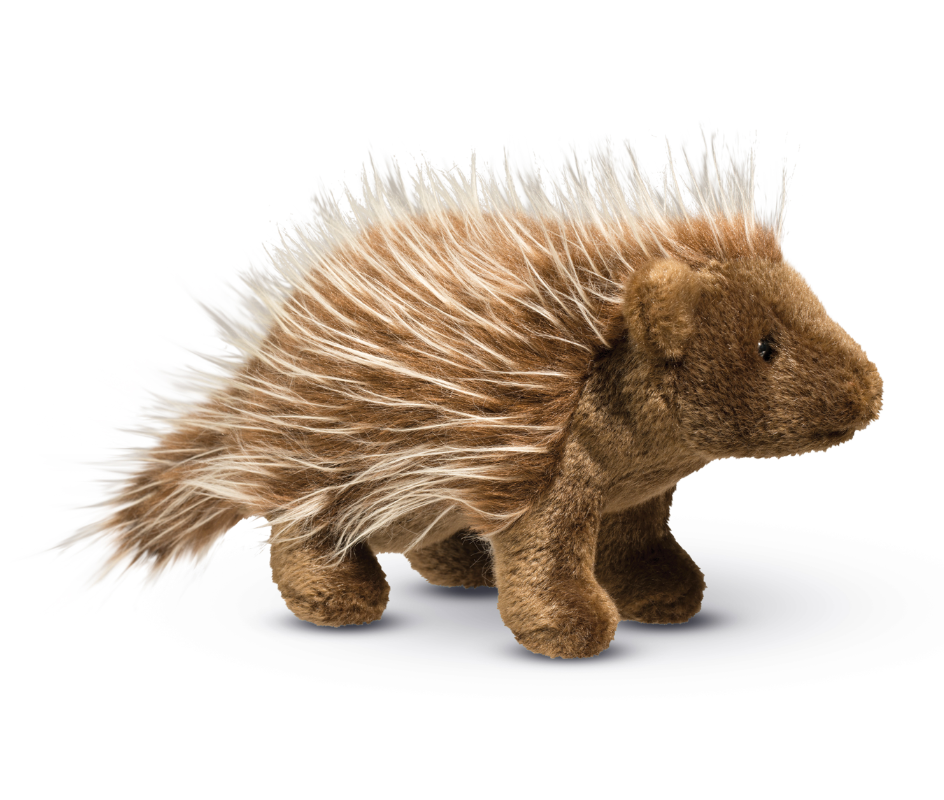 Percy Porcupine