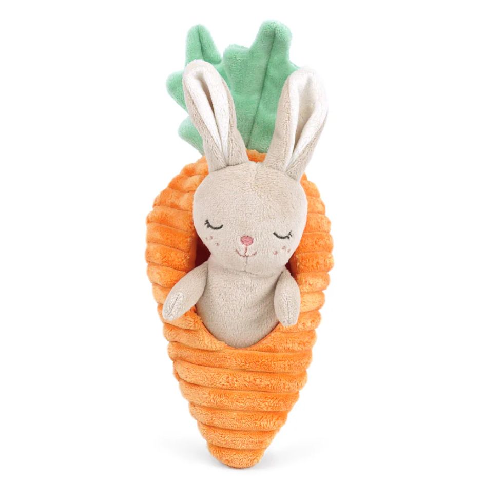 Bunny in Carrot Activity Toy