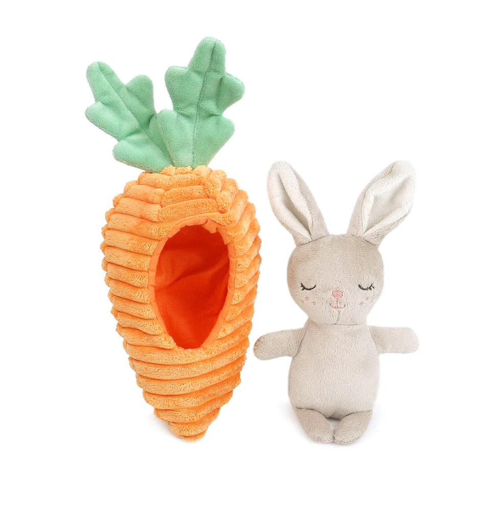 Bunny in Carrot Activity Toy