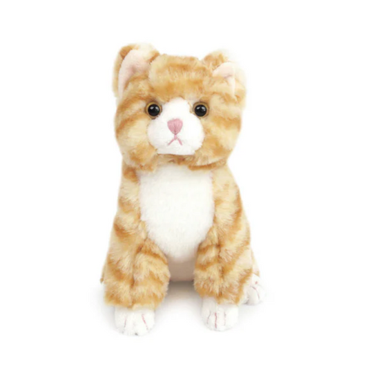 Chichi Kitty, Small